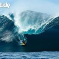 Bodyboards